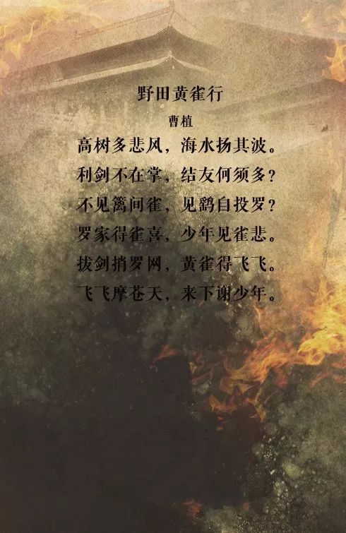 名人故事：才华横溢_500字