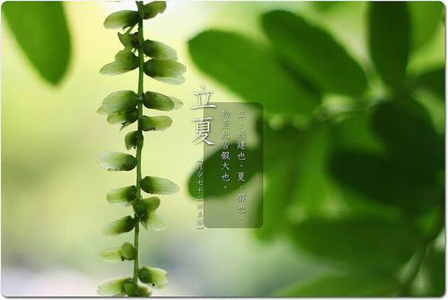 关于丽霞的作文：丽霞的那一天_700字