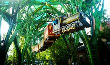 一个人的生活_900字