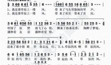 初三状物作文：风的精灵_800字