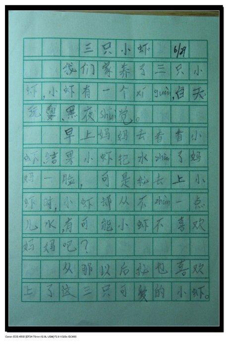 小学二年级写作活动构成：初次做巧克力_400字