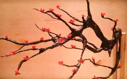 三年级的作文：我的_750字