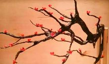 初三状物作文：我的凤仙花_750字