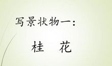 初三状物作文：我把喷泉带回家_800字