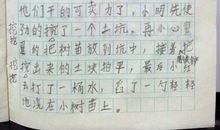 二年级写活动作文：范文一_300字