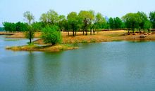 湿地公园的春色_400字