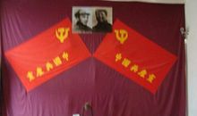 党啊，伟大的妈妈_900字