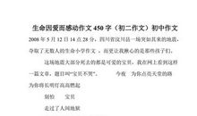 关于感动的作文：难以忘记的感动_450字