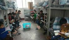 书海陶醉_1500字