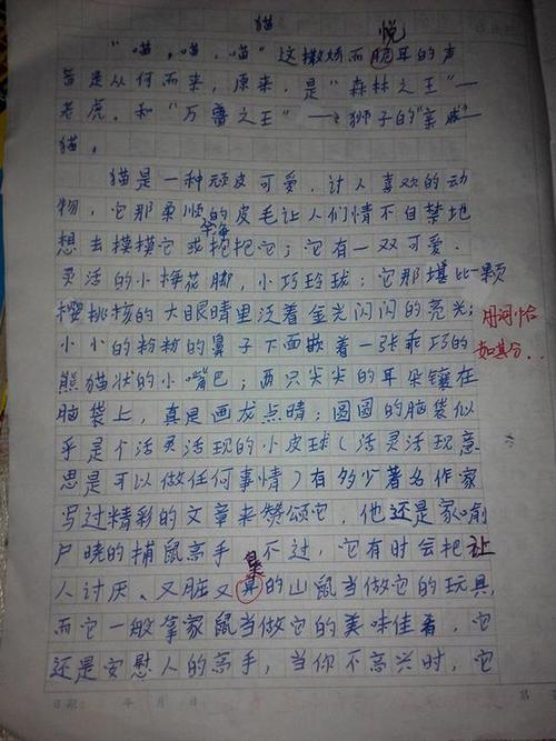 关于移动构图：感人的场景_650个单词