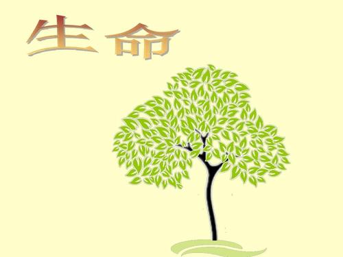 读“生活”的感想_250字