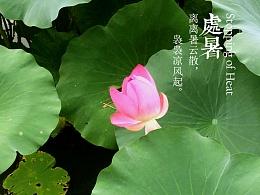 楚书构图：楚书气候_900字