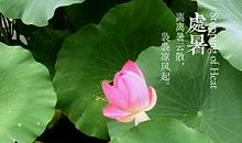 关于处暑的作文：处暑的气候_900字