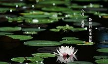 关于处暑的作文：处暑_1200字