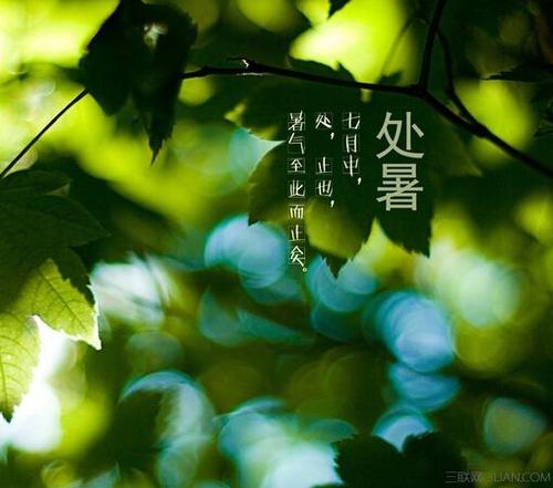 关于楚书的构成：楚书节气_450字