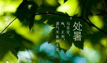 关于处暑的作文：处暑节气_450字