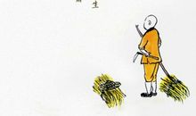 关于处暑的作文：处暑将至，又见红叶片片_800字