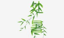 关于处暑的作文：处暑（七）_1200字