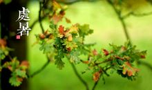 关于处暑的作文：处暑这个日子_800字