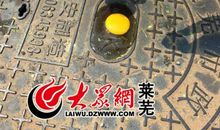 煎鸡蛋_550字