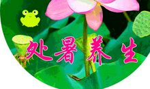 关于处暑的作文：暑_1000字