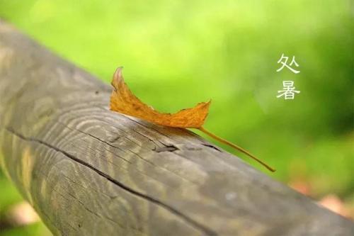 关于楚书的构成：楚书与秋雨相吻合_1500字