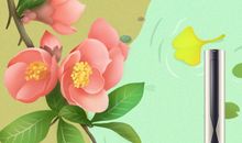 关于处暑的作文：处暑时期的气候特征_1200字