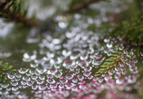 关于秋雨的构成：秋天的雨_450个单词
