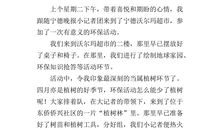 二年级写活动作文：一次有意义的活动_550字