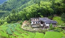 美丽的田园风光_350字