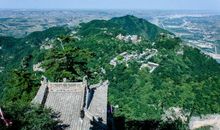 游 青 城 山_450字