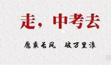 请让我自己选择_900字
