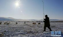 初二演讲稿：迎接未来，不忘初心_600字