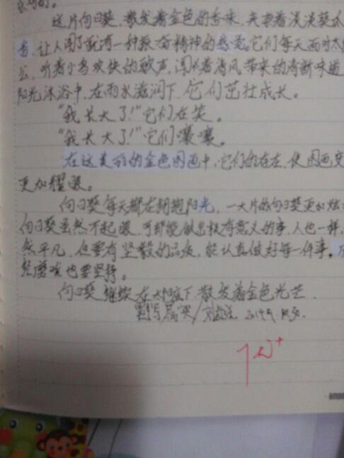 三年级作文：祖母面前的向日葵_400字