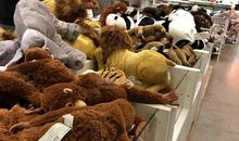 四年级日记：逛宜家_350字