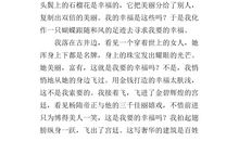 偏爱紫竹梅_700字