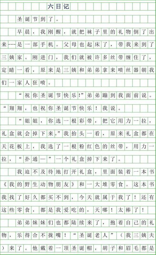 四年级日记：独自在家_200字