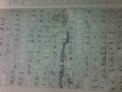 四年级日记：绿豆的生长_350字