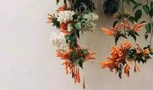 关于善良的作文：变味的善良_900字