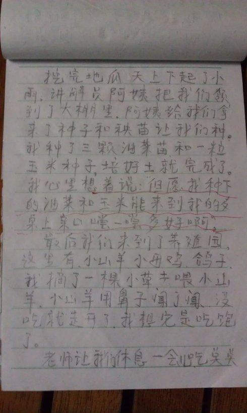 [PK赛]关于秋季旅行的组成：橙黄橙绿的时间_450字