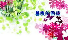 关于善良的作文：善良的回报_500字