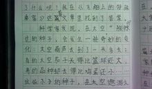 四年级日记：选择_750字