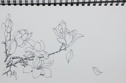 “您对梦中的花朵了解多少” _250字