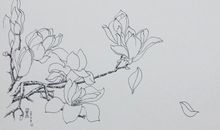 《梦里花落知多少》有感_250字