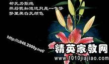 关于友情的优美段落_750字