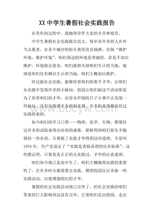 XX暑期社会实践经验3