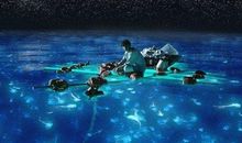 六年级观后感：《少年派的奇幻漂流记》观后感_600字