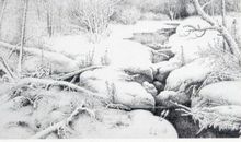 雪地“画”_450字