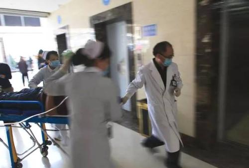 关于马的构成：阅读“小战马”后900字的人生思想尊严
