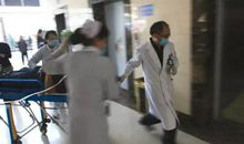 关于马的作文：生命尊严——读《小战马》有感_900字